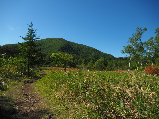 泉ヶ岳兎平
